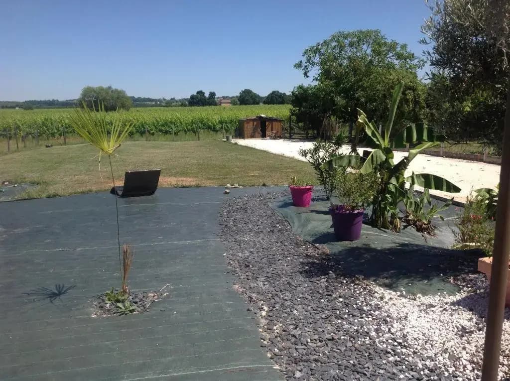 Le sang des vignes - Photo 2