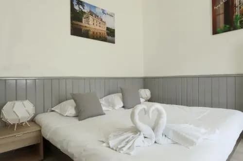 Recent T2 aux portes du Chateau d'Azay le Rideau - Photo 3