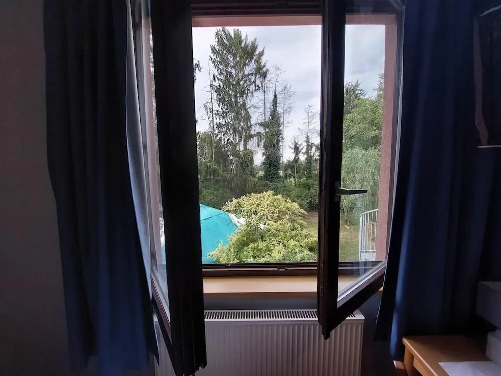 Logis Auberge de la Foret - Miniature 7