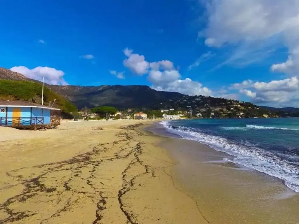 Appartement Le Lavandou, 1 pièce, 4 personnes - FR-1-251-306 - Photo 5