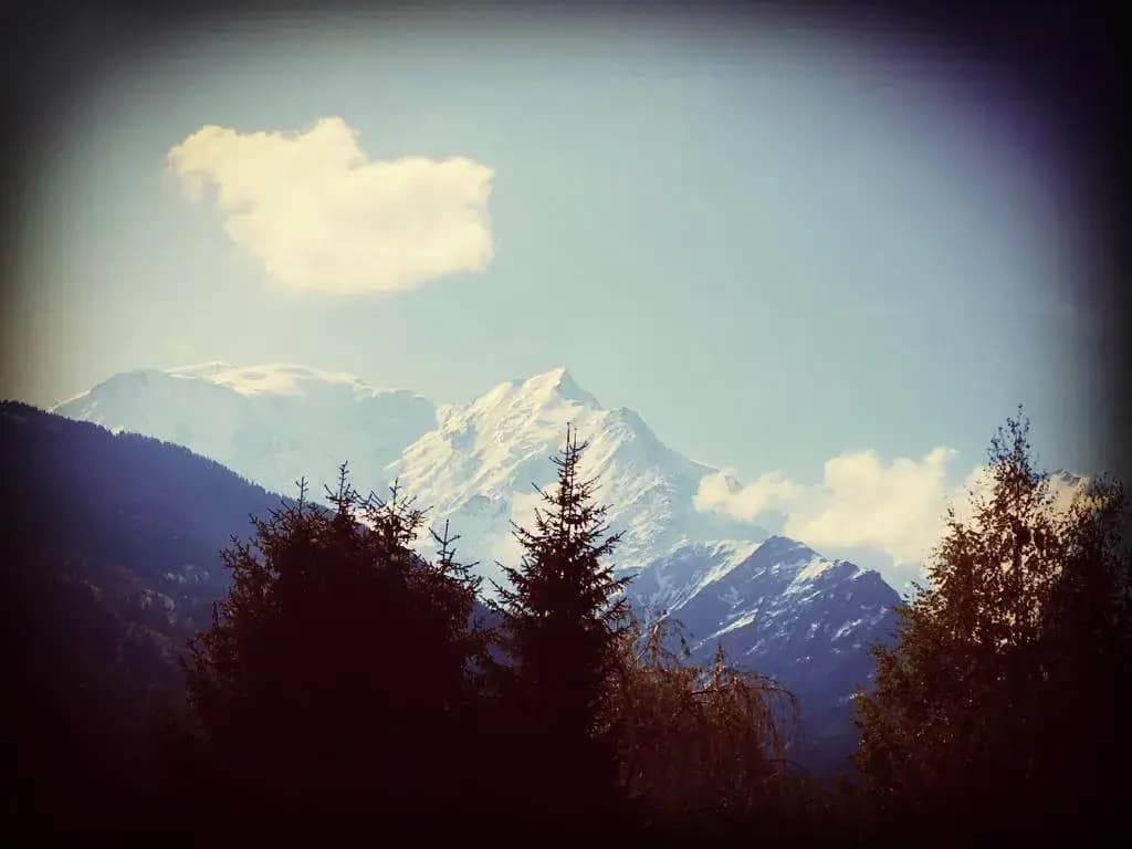 Le petit Chamois - Photo 3