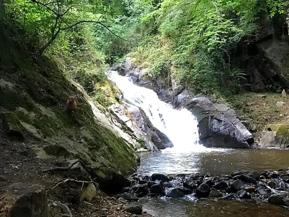 B&B Le Saut de la Bergère - Miniature 7
