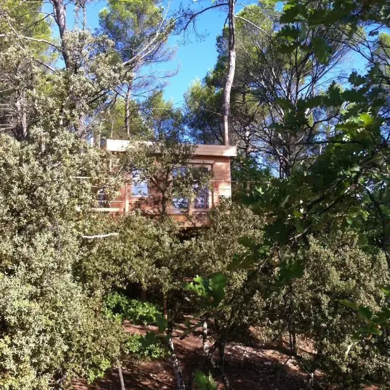 Cabane des K'Hauts Pins - Photo 1