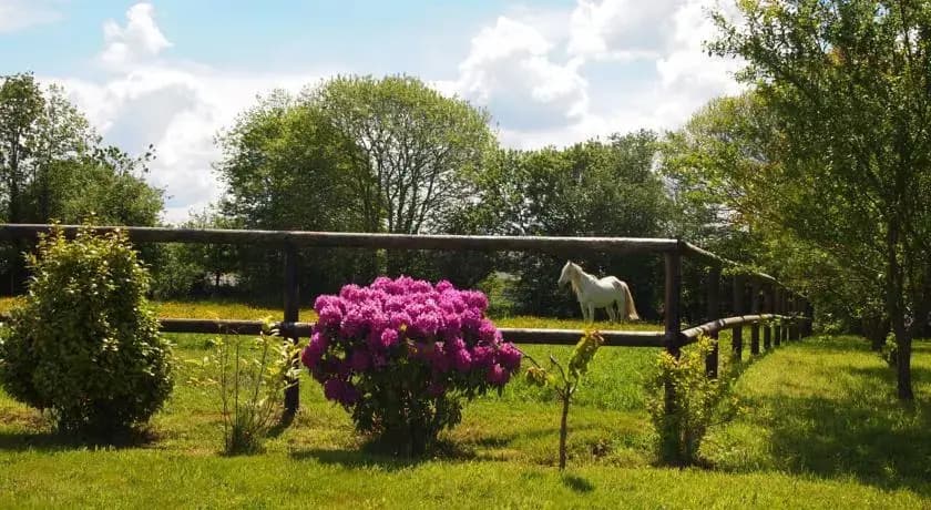 Gite de Kernaou - Photo 5
