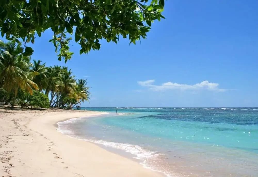 Apartment With in Sainte Rose With Pool Access Furnished - Miniature 8