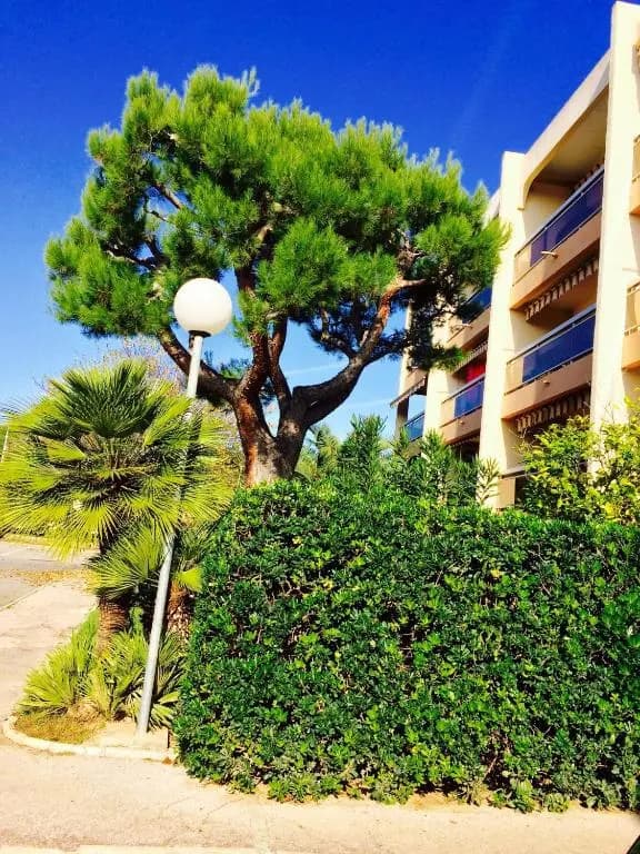 Appartment Plein Soleil - Miniature 8