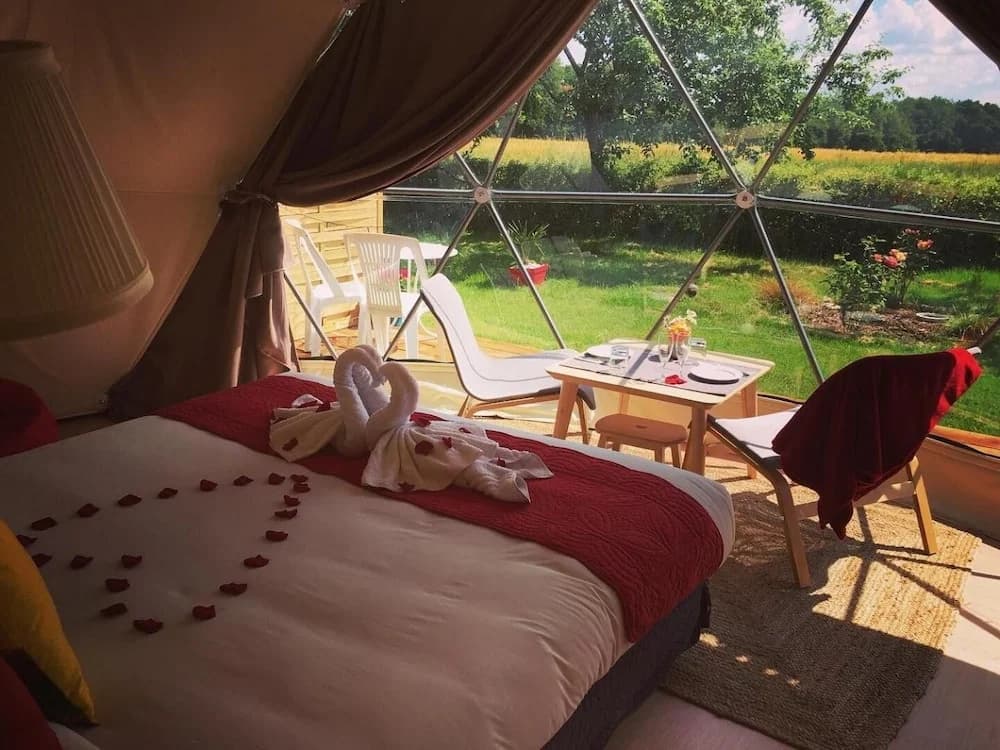 Tui's Nest Glamping - Photo 5