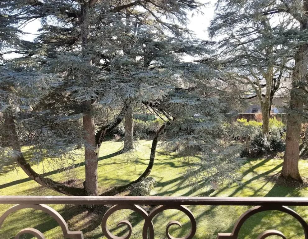Maison d'hôtes Le Parc - Photo 5