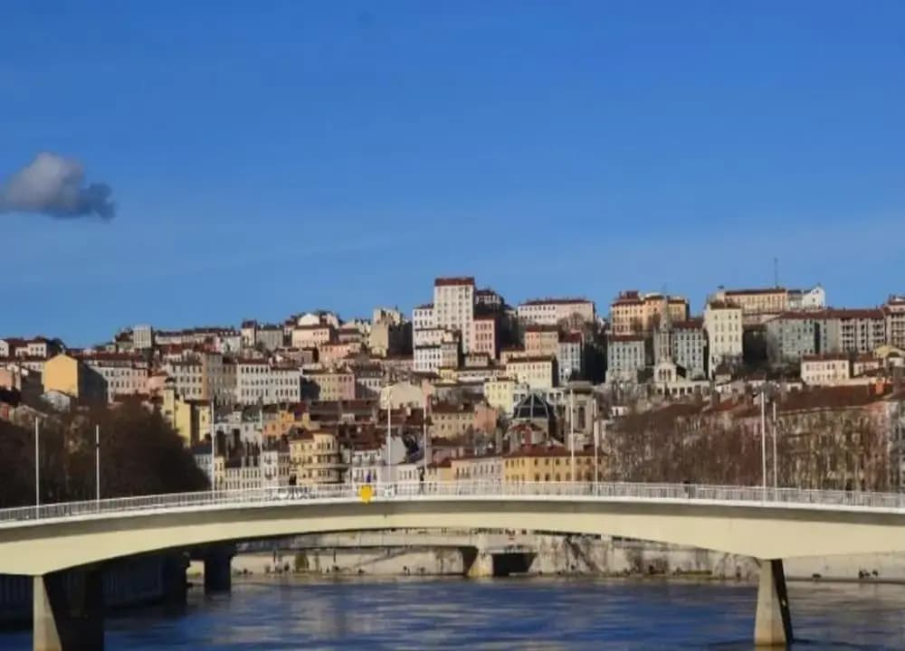Dify Wilson - Villeurbanne - Miniature 8