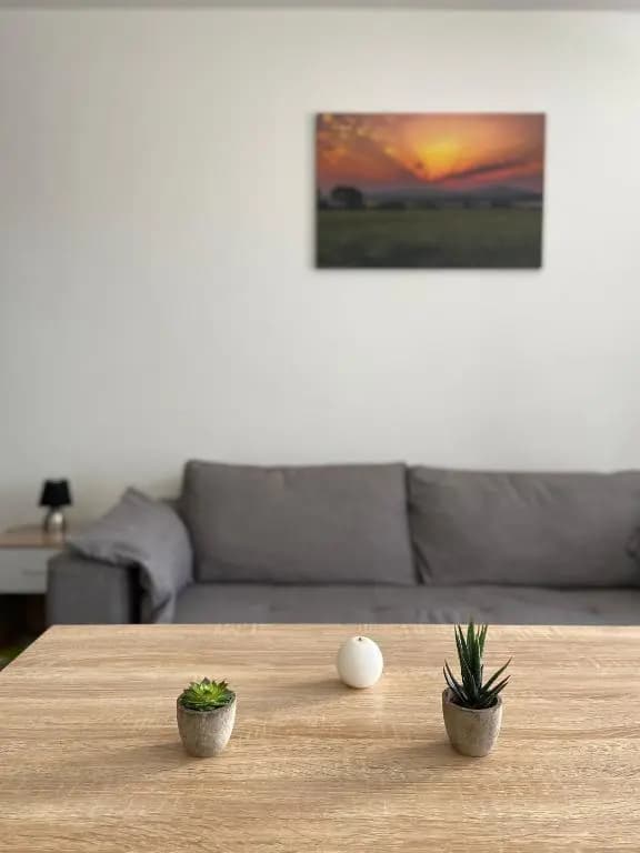 Grand studio confortable et spacieux avec terrasse - Photo 4