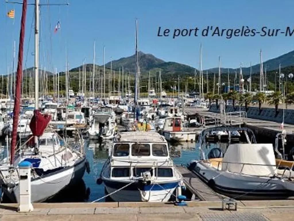 Appartement Argelès-sur-Mer, 2 pièces, 4 personnes - FR-1-225-714 - Photo 3