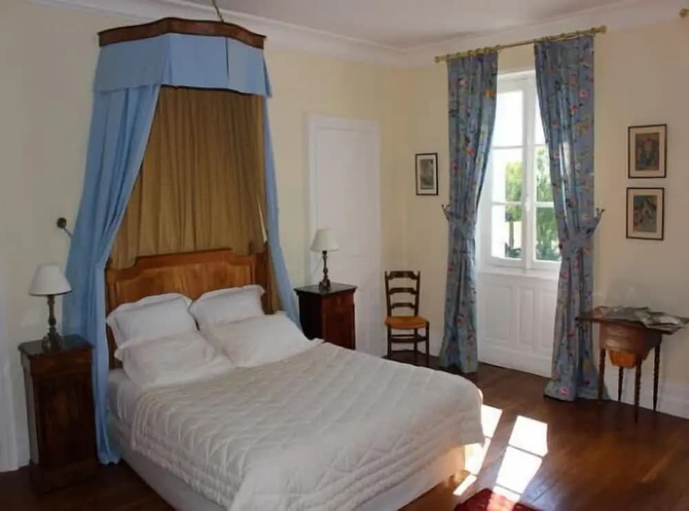 Chambres d'hôtes - Château de la Plante - Photo 5