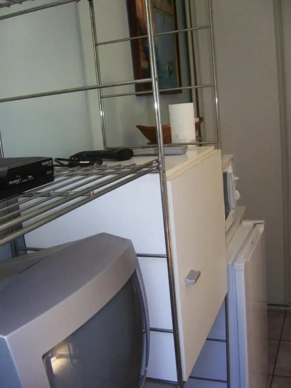 Les lilas blancs - Photo 1