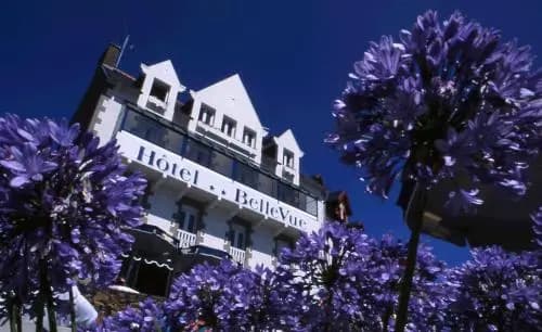 Hôtel BelleVue - Photo 1