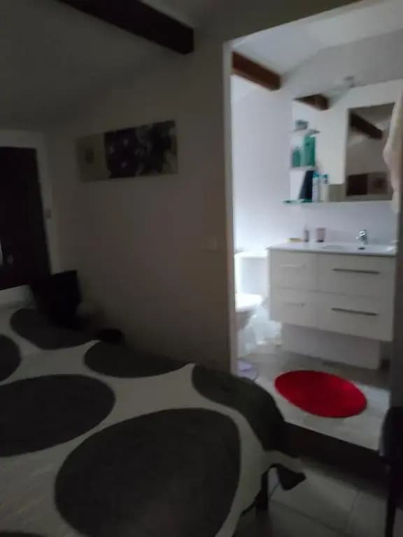 CHEZ TINOU appartement T2 saisonnier - Photo 3