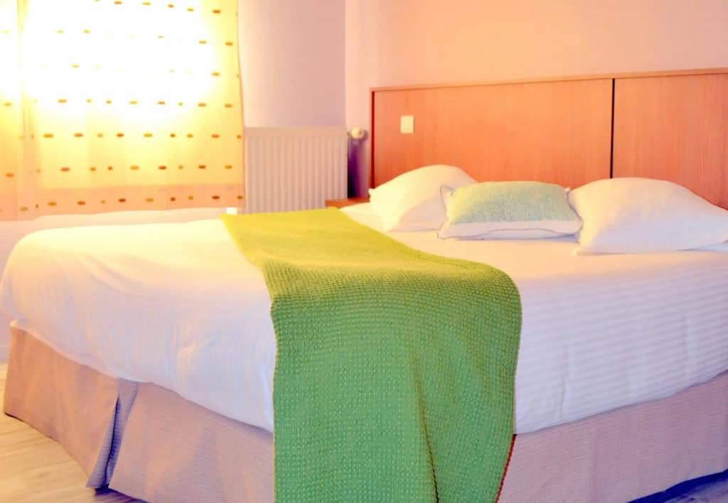 Hôtel CARRER Le Rhien - Photo 3