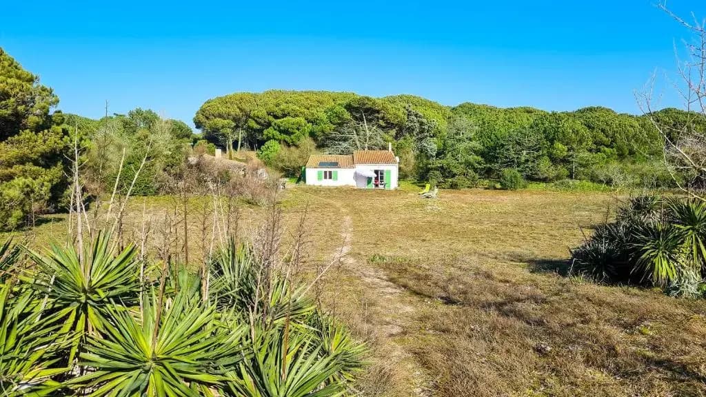 Ensemble de 2 maisons dans les dunes - Photo 1
