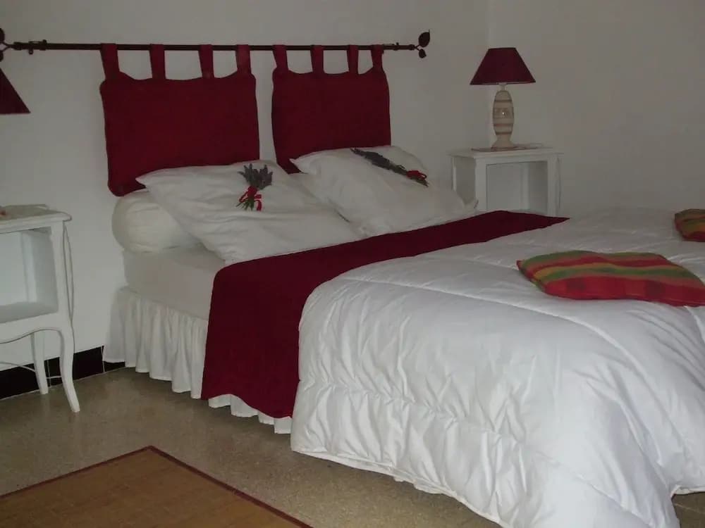 Luxurious Holiday Home with Pool in Pertuis France - Photo 4