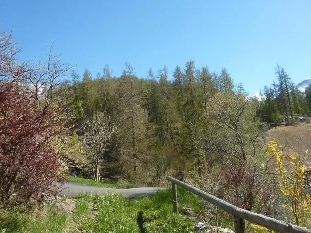 Appartement Les Orres, 1 pièce, 6 personnes - FR-1-322-403 - Photo 4