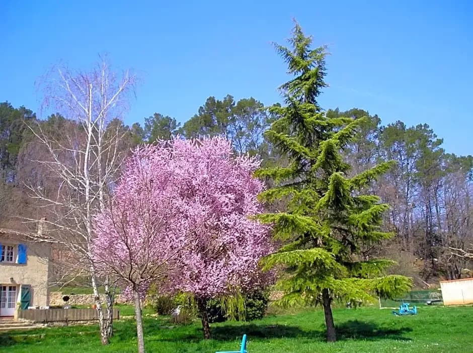 Domaine De La Provenç'âne Le Pigeonnier - Photo 4