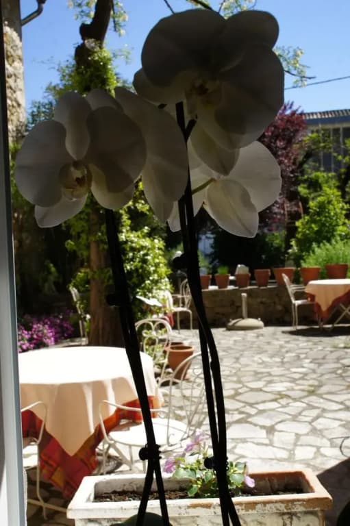 Hotel le Manoir du Raveyron - Miniature 8