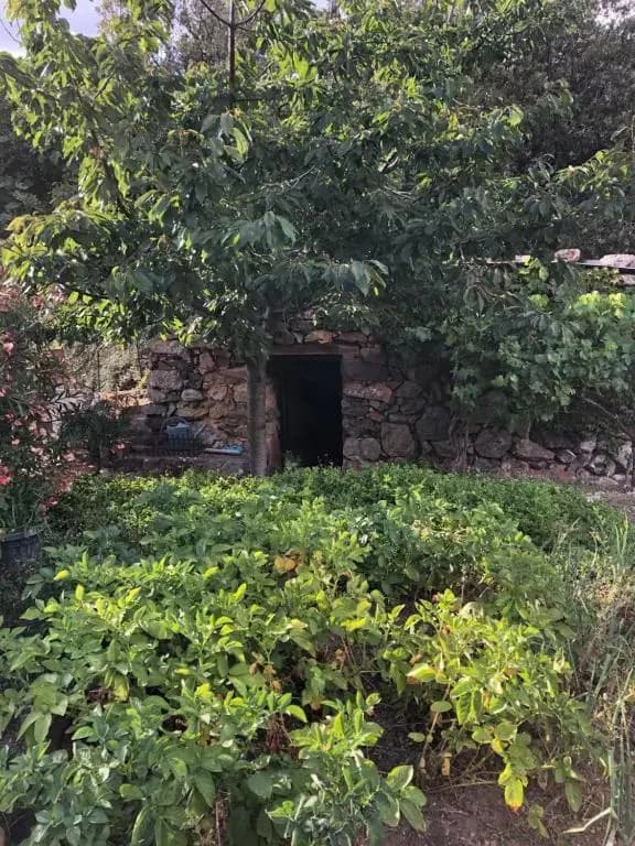 Villa Capraghjese - Photo 2