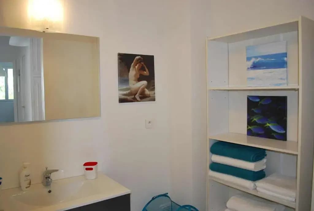 Grand Appartement Terrasse Parking - Miniature 6
