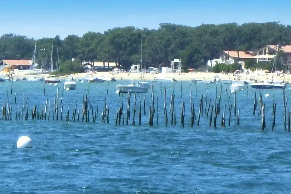 Heritage Mansion on Arcachon Bay - Photo 1