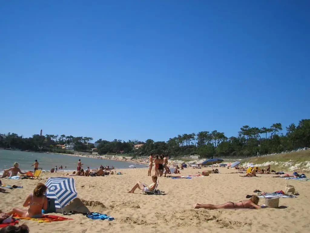 Studio Dunes aux Ecureuils - Photo 5