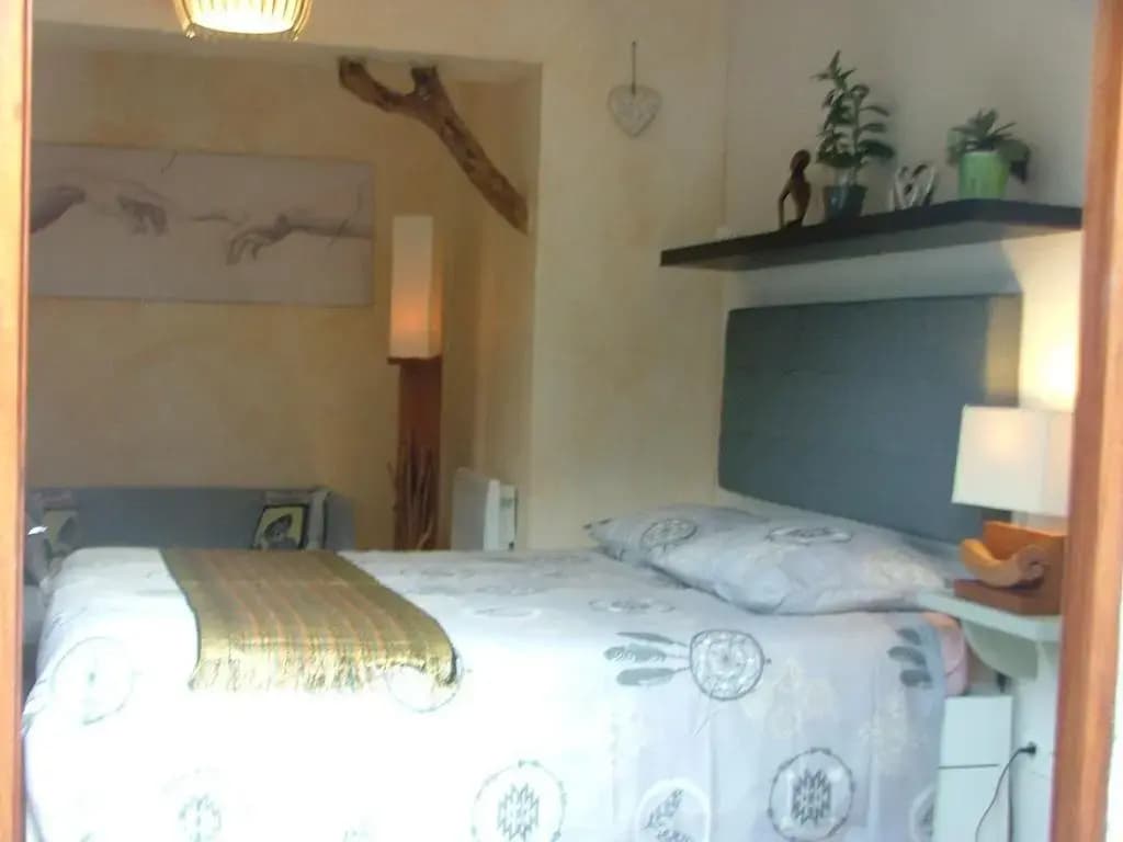 le frangipanier - Photo 5