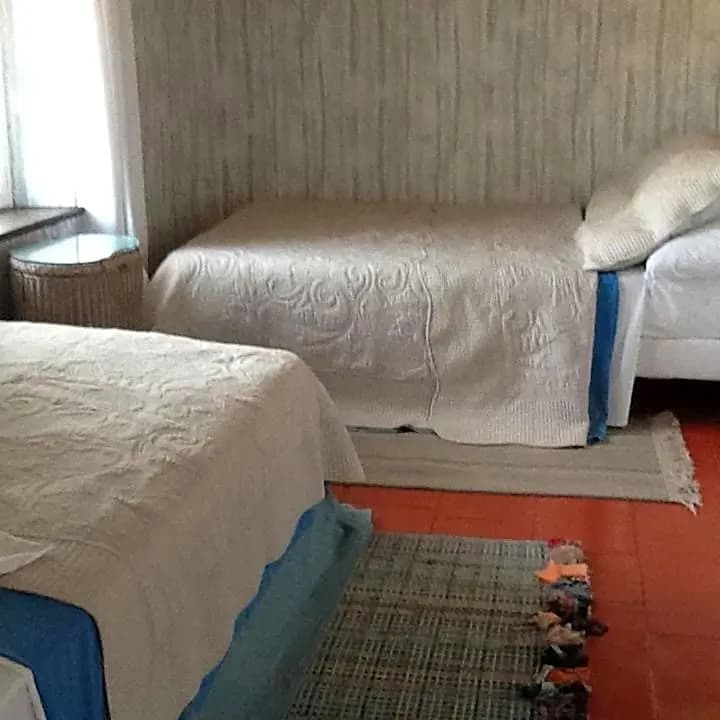 L'Orchidée - Photo 3