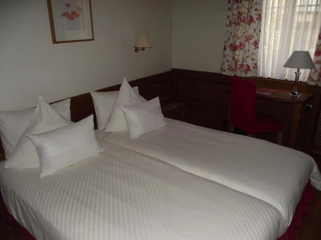 SPA Hôtel Au Lion D'Or - Photo 2