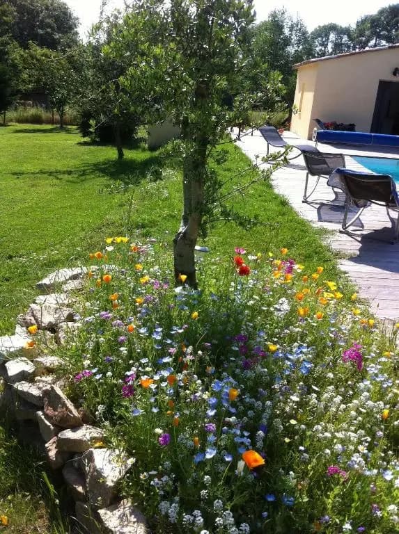 Borie Grande - Photo 1