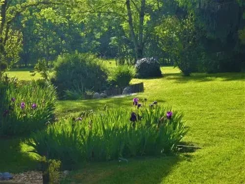 Domaine de l'Olifant - Photo 2