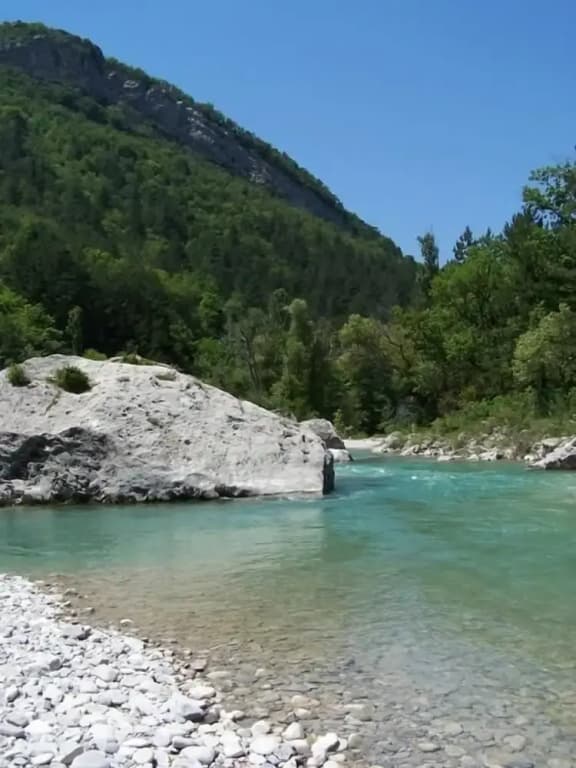 Domaine du Couriou - Photo 4