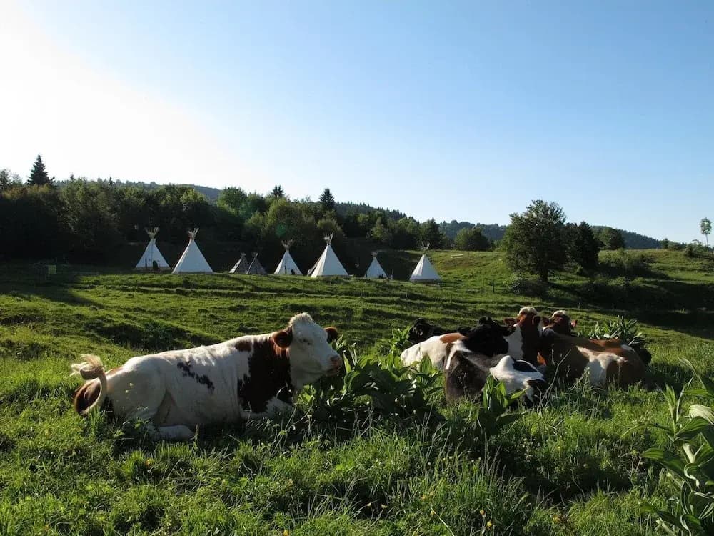 Village Tipi - Photo 4