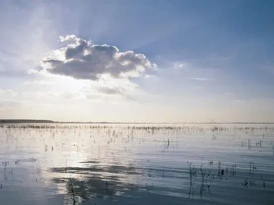 Les Écolodges de la Baie de Somme - Photo 3