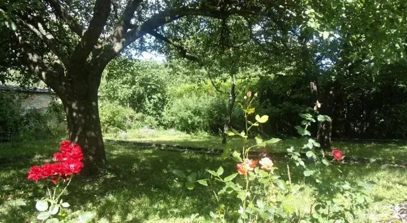 Le Grand Jardin - Miniature 6