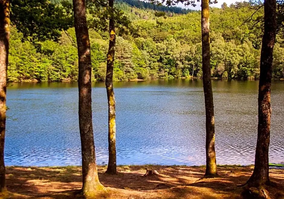 Vue sur la Vezere - Photo 2