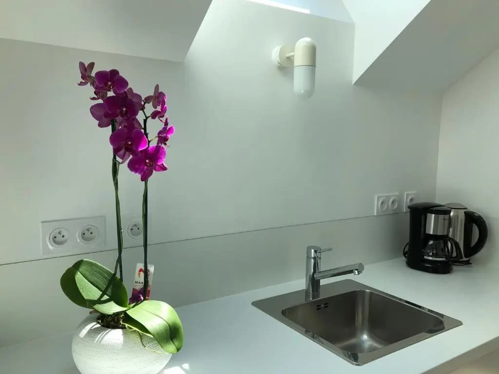 La Maison, 4 appartements 3 étoiles climatisés au centre ville avec jardin proche du Parc et des Thermes - Miniature 7