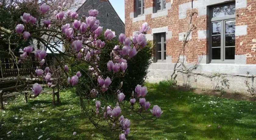 Le Clos de la Braquennière - Photo 4