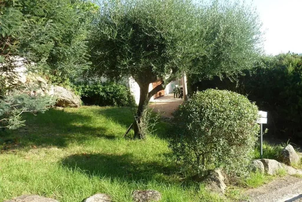 Bellavistaloc' - Miniature 7
