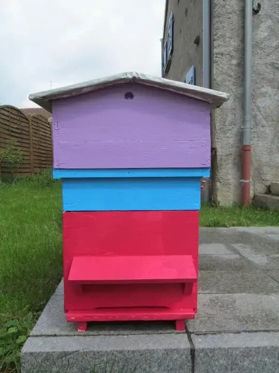 Gite la ruche - Photo 2