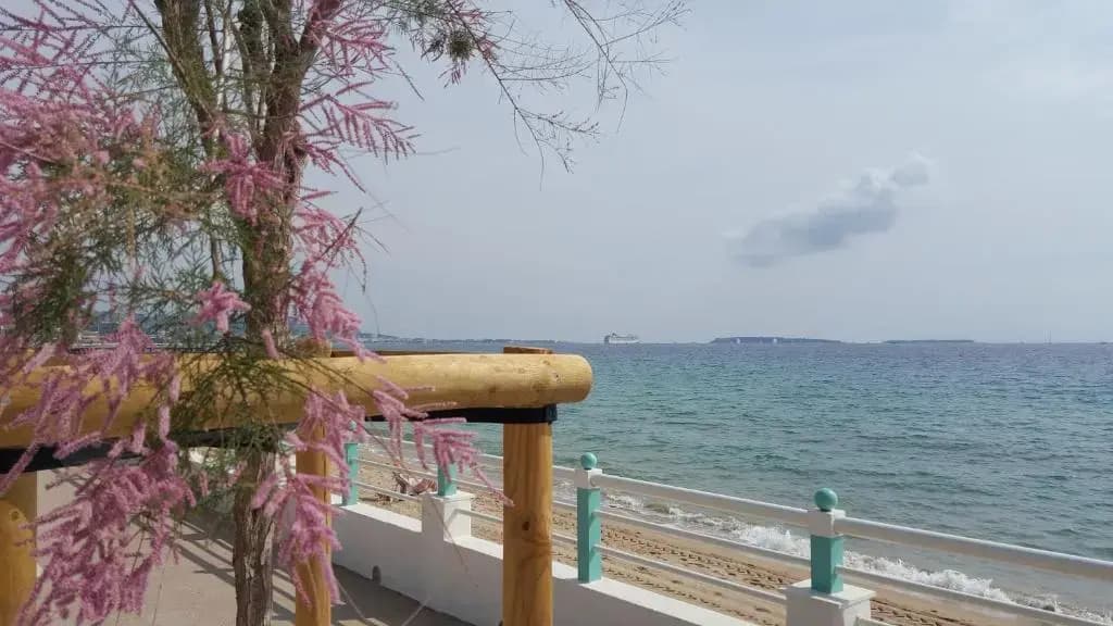 Sea Front Apartment Cannes - Miniature 6