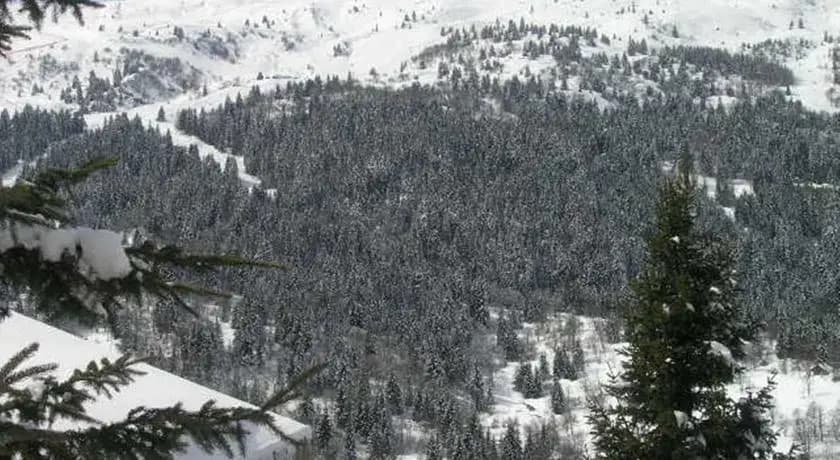 Chalet Manekineko - Photo 5