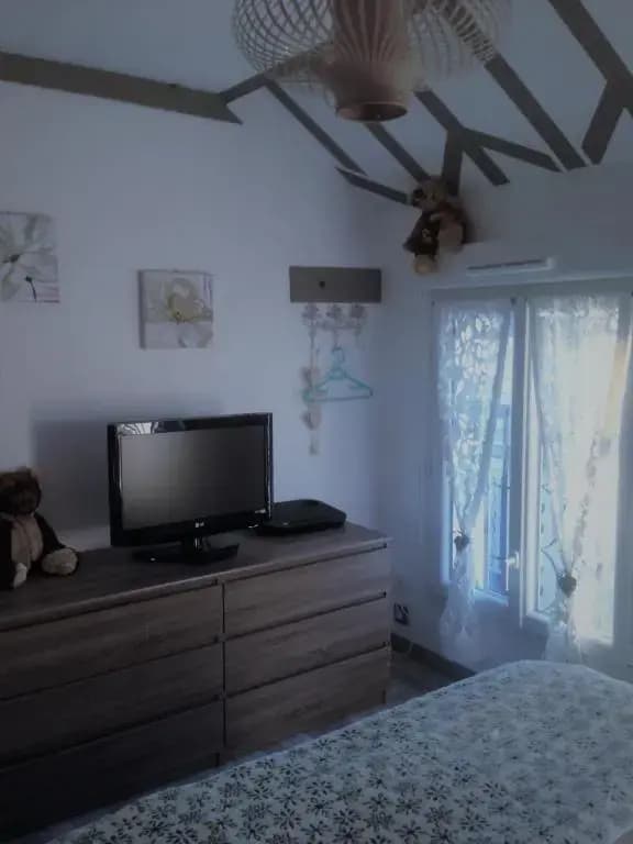 PERROT - Photo 1