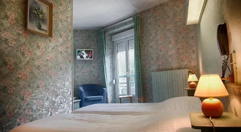 Hotel Les Alpes - Photo 5