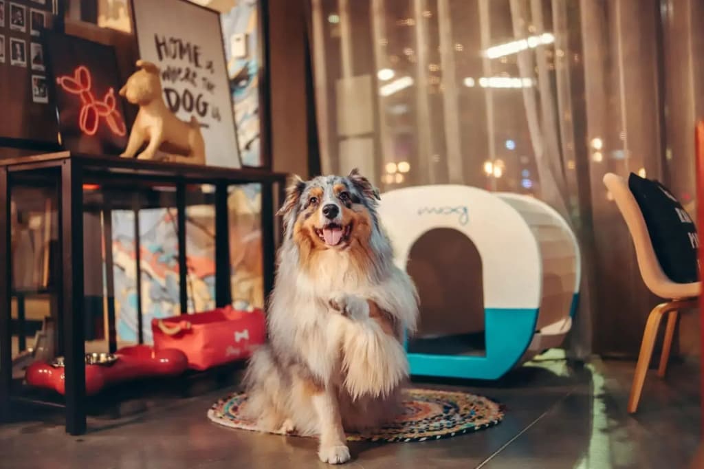 Moxy Bordeaux Hotel - Miniature 7