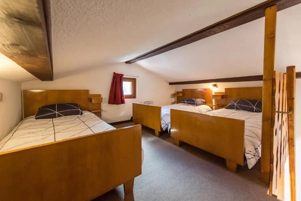 Fleurs et Neige - Photo 3