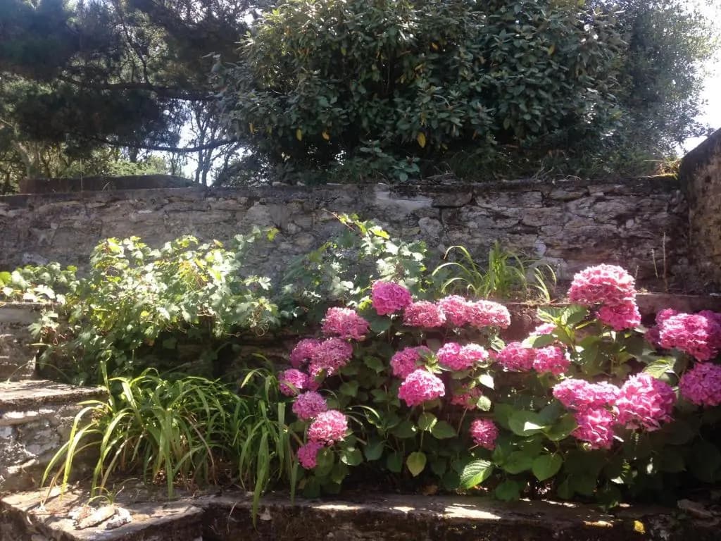 La Grogne - Miniature 6